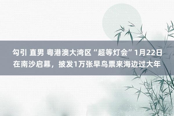 勾引 直男 粤港澳大湾区“超等灯会”1月22日在南沙启幕，披发1万张早鸟票来海边过大年