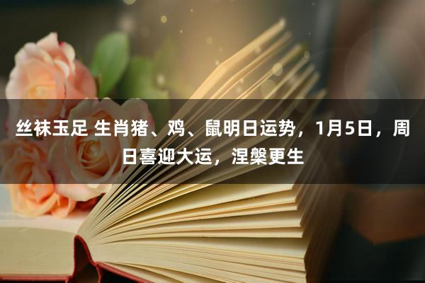丝袜玉足 生肖猪、鸡、鼠明日运势，1月5日，周日喜迎大运，涅槃更生