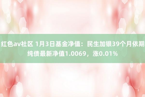 红色av社区 1月3日基金净值：民生加银39个月依期纯债最新净值1.0069，涨0.01%