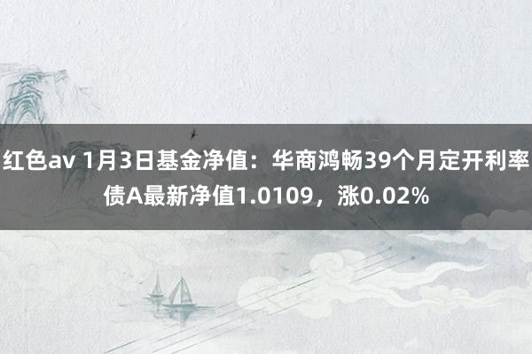 红色av 1月3日基金净值：华商鸿畅39个月定开利率债A最新净值1.0109，涨0.02%