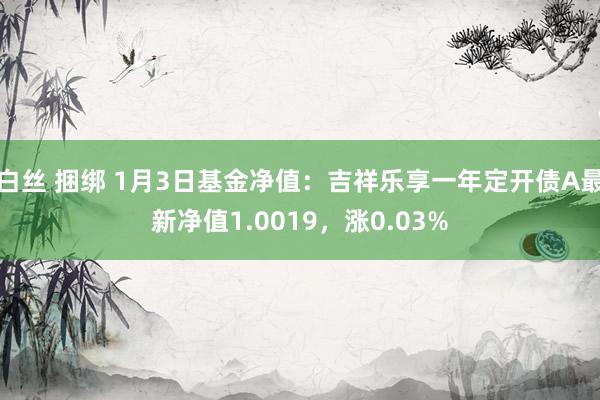 白丝 捆绑 1月3日基金净值：吉祥乐享一年定开债A最新净值1.0019，涨0.03%