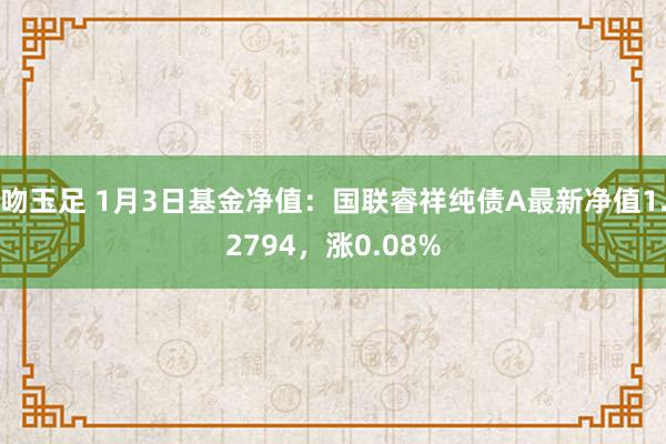 吻玉足 1月3日基金净值：国联睿祥纯债A最新净值1.2794，涨0.08%