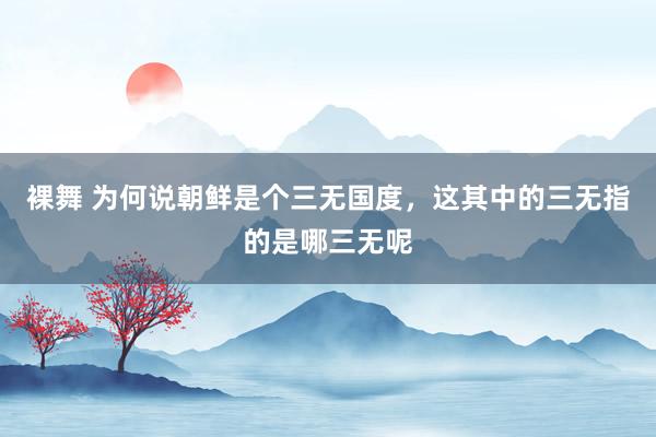 裸舞 为何说朝鲜是个三无国度，这其中的三无指的是哪三无呢