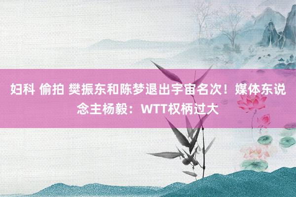 妇科 偷拍 樊振东和陈梦退出宇宙名次！媒体东说念主杨毅：WTT权柄过大