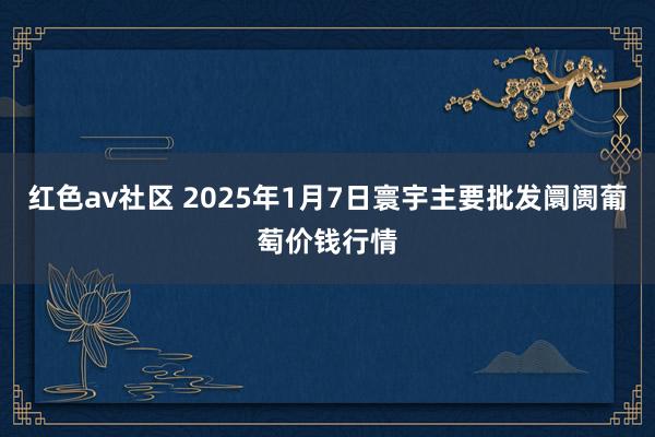 红色av社区 2025年1月7日寰宇主要批发阛阓葡萄价钱行情
