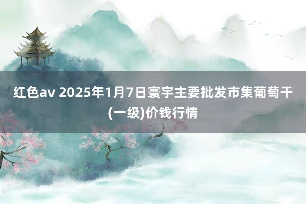 红色av 2025年1月7日寰宇主要批发市集葡萄干(一级)价钱行情
