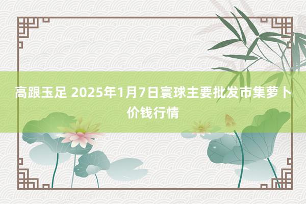 高跟玉足 2025年1月7日寰球主要批发市集萝卜价钱行情