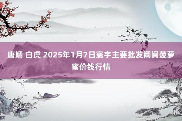 唐嫣 白虎 2025年1月7日寰宇主要批发阛阓菠萝蜜价钱行情