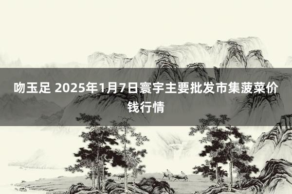 吻玉足 2025年1月7日寰宇主要批发市集菠菜价钱行情