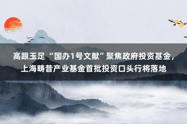 高跟玉足 “国办1号文献”聚焦政府投资基金，上海畴昔产业基金首批投资口头行将落地