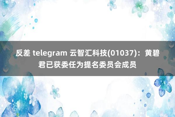 反差 telegram 云智汇科技(01037)：黄碧君已获委任为提名委员会成员