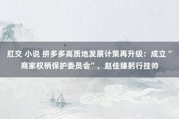 肛交 小说 拼多多高质地发展计策再升级：成立“商家权柄保护委员会”，赵佳臻躬行挂帅