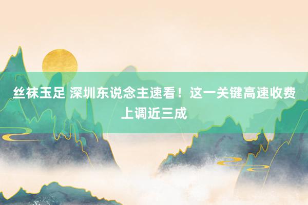 丝袜玉足 深圳东说念主速看！这一关键高速收费上调近三成