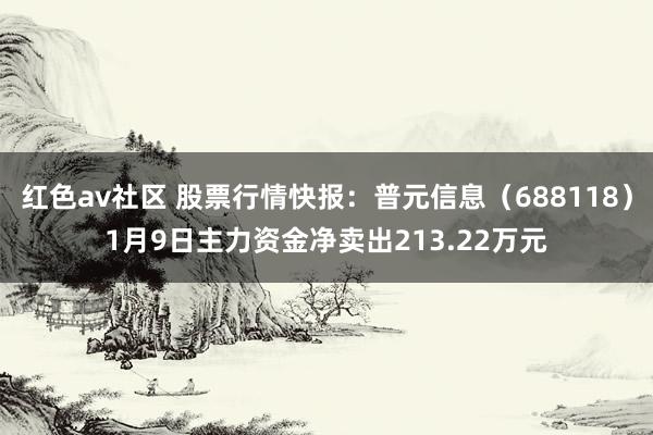 红色av社区 股票行情快报：普元信息（688118）1月9日主力资金净卖出213.22万元