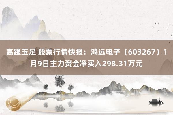 高跟玉足 股票行情快报：鸿远电子（603267）1月9日主力资金净买入298.31万元