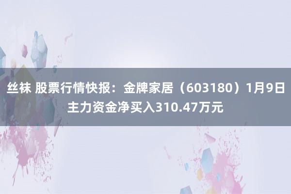 丝袜 股票行情快报：金牌家居（603180）1月9日主力资金净买入310.47万元
