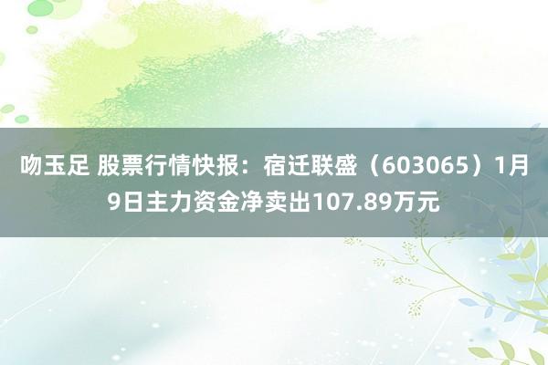 吻玉足 股票行情快报：宿迁联盛（603065）1月9日主力资金净卖出107.89万元