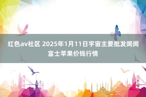 红色av社区 2025年1月11日宇宙主要批发阛阓富士苹果价钱行情