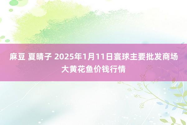 麻豆 夏晴子 2025年1月11日寰球主要批发商场大黄花鱼价钱行情