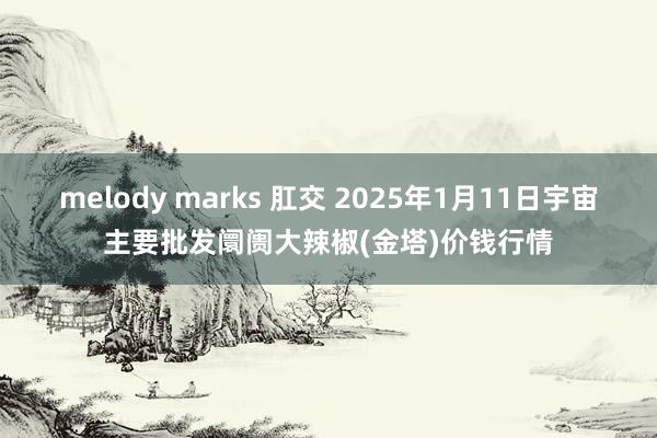 melody marks 肛交 2025年1月11日宇宙主要批发阛阓大辣椒(金塔)价钱行情