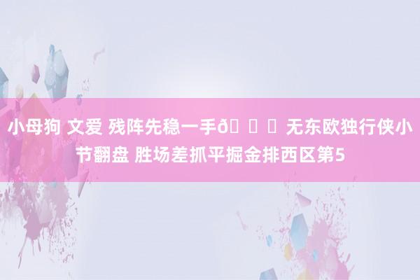小母狗 文爱 残阵先稳一手😛无东欧独行侠小节翻盘 胜场差抓平掘金排西区第5