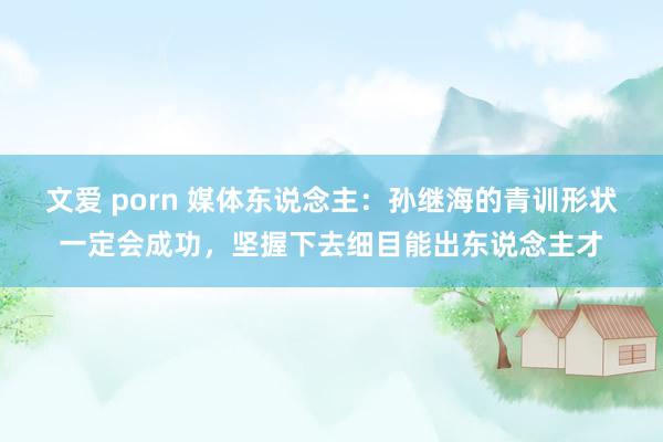 文爱 porn 媒体东说念主：孙继海的青训形状一定会成功，坚握下去细目能出东说念主才