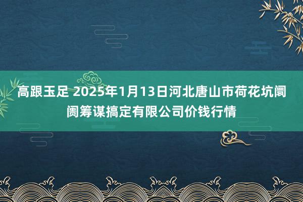 高跟玉足 2025年1月13日河北唐山市荷花坑阛阓筹谋搞定有限公司价钱行情