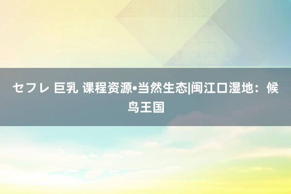 セフレ 巨乳 课程资源•当然生态|闽江口湿地：候鸟王国