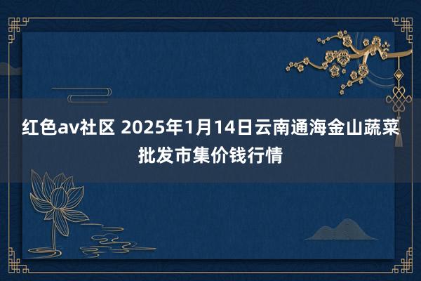 红色av社区 2025年1月14日云南通海金山蔬菜批发市集价钱行情