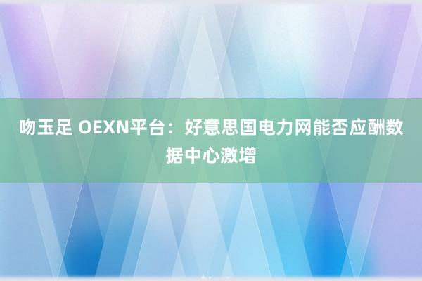 吻玉足 OEXN平台：好意思国电力网能否应酬数据中心激增