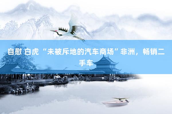自慰 白虎 “未被斥地的汽车商场”非洲，畅销二手车