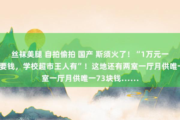 丝袜美腿 自拍偷拍 国产 斯须火了！“1万元一套房，租房不要钱，学校超市王人有”！这地还有两室一厅月供唯一73块钱……
