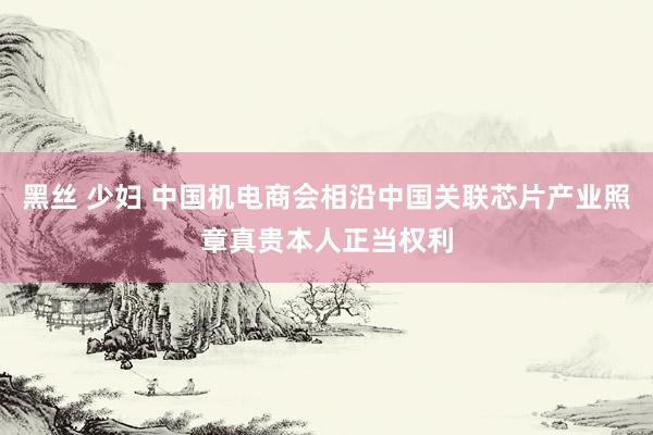 黑丝 少妇 中国机电商会相沿中国关联芯片产业照章真贵本人正当权利