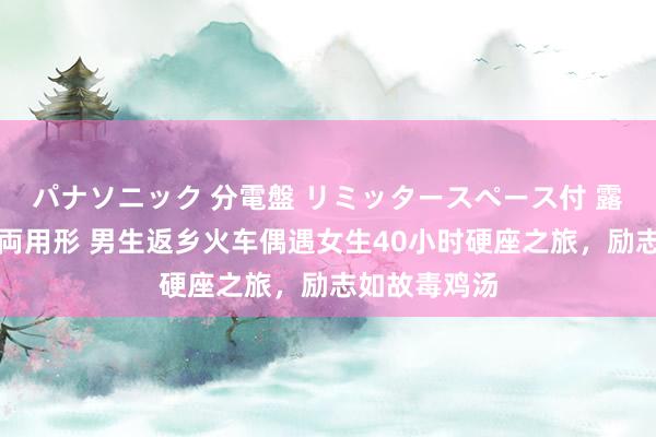 パナソニック 分電盤 リミッタースペース付 露出・半埋込両用形 男生返乡火车偶遇女生40小时硬座之旅，励志如故毒鸡汤