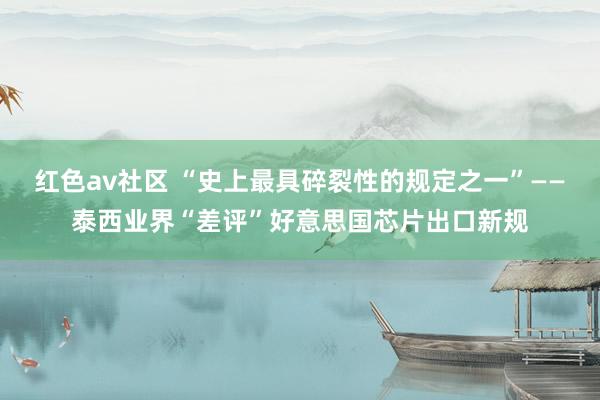 红色av社区 “史上最具碎裂性的规定之一”——泰西业界“差评”好意思国芯片出口新规