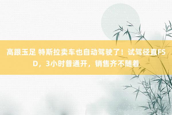 高跟玉足 特斯拉卖车也自动驾驶了！试驾径直FSD，3小时普通开，销售齐不随着