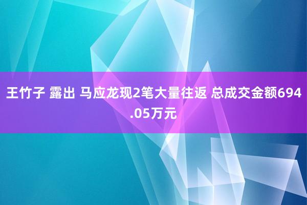 王竹子 露出 马应龙现2笔大量往返 总成交金额694.05万元