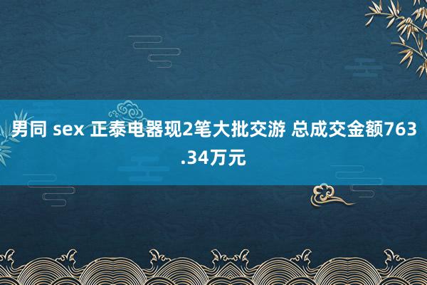 男同 sex 正泰电器现2笔大批交游 总成交金额763.34万元