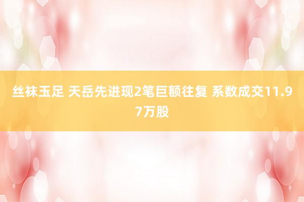 丝袜玉足 天岳先进现2笔巨额往复 系数成交11.97万股