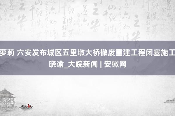 萝莉 六安发布城区五里墩大桥撤废重建工程闭塞施工晓谕_大皖新闻 | 安徽网
