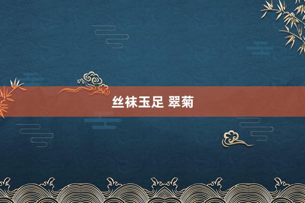 丝袜玉足 翠菊