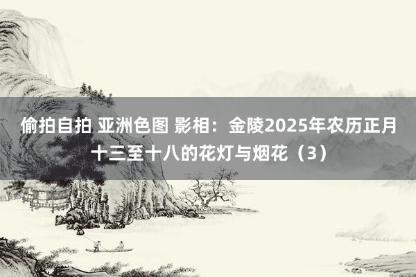 偷拍自拍 亚洲色图 影相：金陵2025年农历正月十三至十八的花灯与烟花（3）