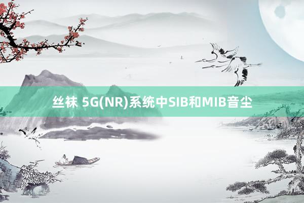 丝袜 5G(NR)系统中SIB和MIB音尘