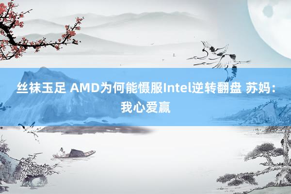 丝袜玉足 AMD为何能慑服Intel逆转翻盘 苏妈：我心爱赢