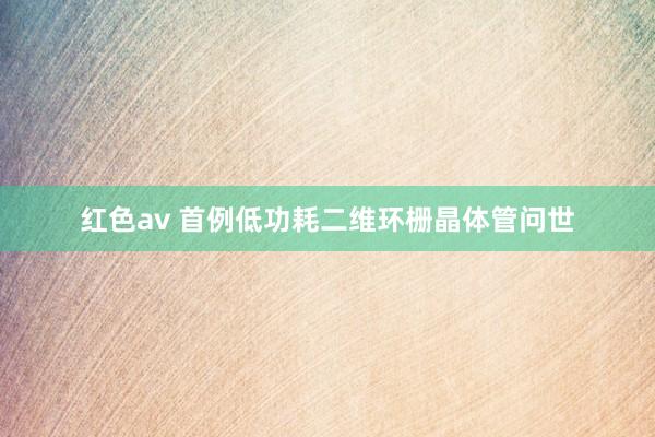 红色av 首例低功耗二维环栅晶体管问世