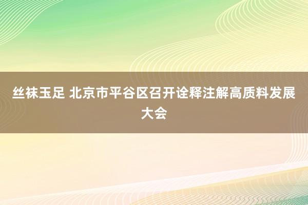 丝袜玉足 北京市平谷区召开诠释注解高质料发展大会