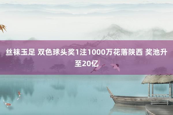 丝袜玉足 双色球头奖1注1000万花落陕西 奖池升至20亿