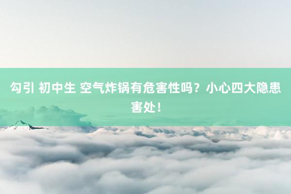 勾引 初中生 空气炸锅有危害性吗？小心四大隐患害处！