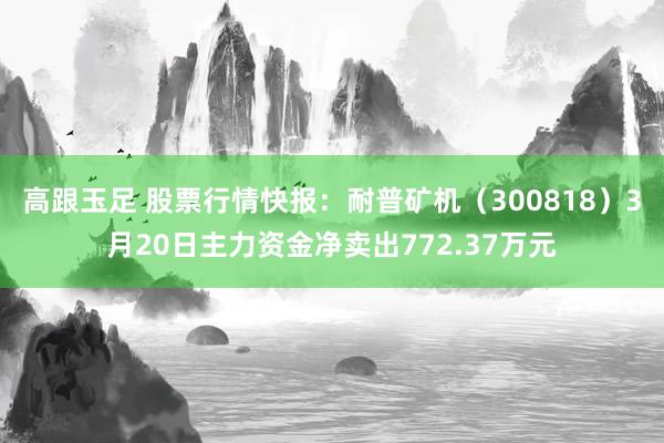 高跟玉足 股票行情快报：耐普矿机（300818）3月20日主力资金净卖出772.37万元