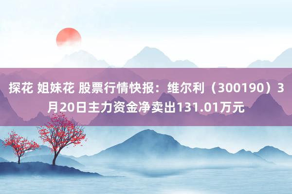 探花 姐妹花 股票行情快报：维尔利（300190）3月20日主力资金净卖出131.01万元